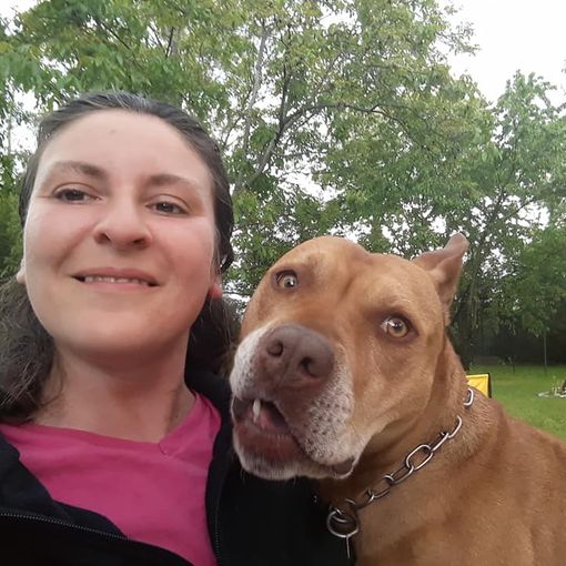 La protesta degli addestratori di cani: «Per noi non c’è una data di ripartenza»