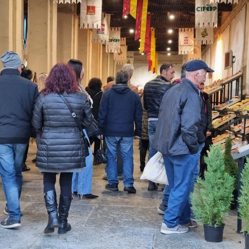 (Foto di repertorio)