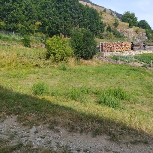 L’area in cui dovrebbe sorgere il parco giochi per cani