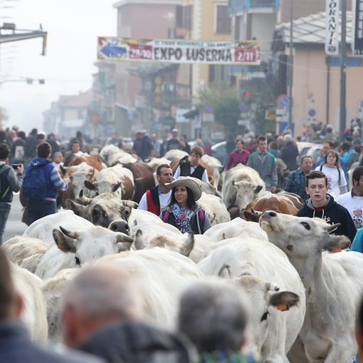 Il Covid interrompe una tradizione di 700 anni: Luserna San Giovanni cancella la Fiera dei Santi