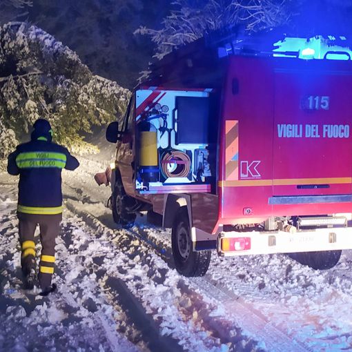 Luserna San Giovanni rimozione alberi caduti sulle strade innevate gennaio 2021