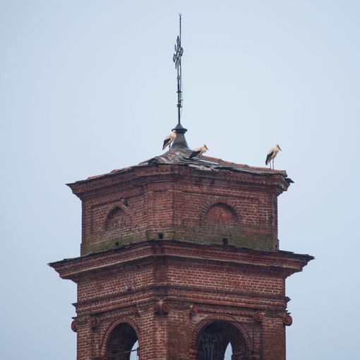 Il campanile di Osasco