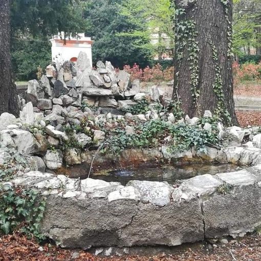 Parco Gay Perosa Argentina