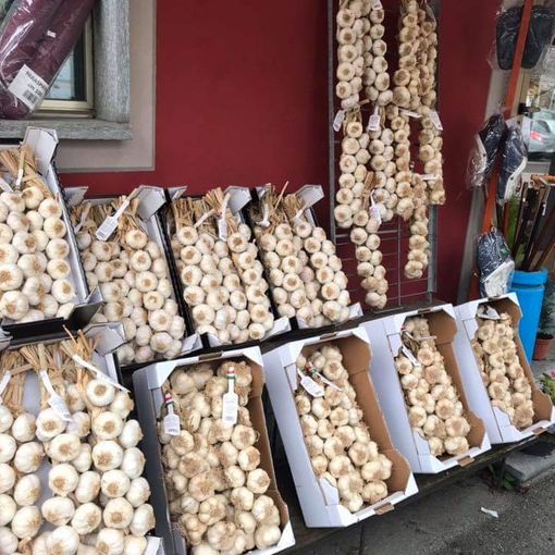 Tra Ringraziamento e aglio: Pinasca fa festa due giorni