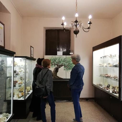 Il Museo di Scienze naturali Strani
