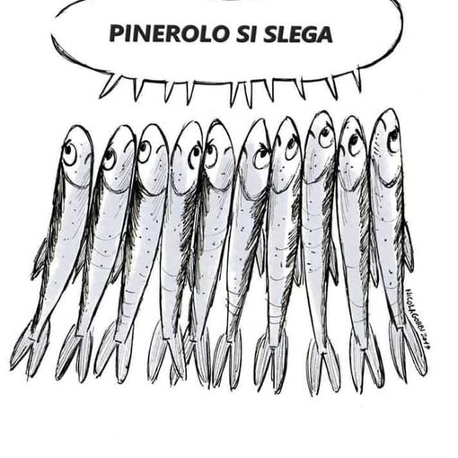 Anche “Pinerolo si slega”: domani le sardine in piazza Facta