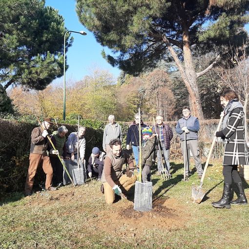 La piantumazione di novembre nei giardini privati di strada Serena a Pinerolo