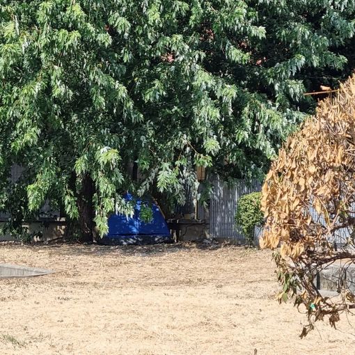 La tenda nel giardino di via Cravero