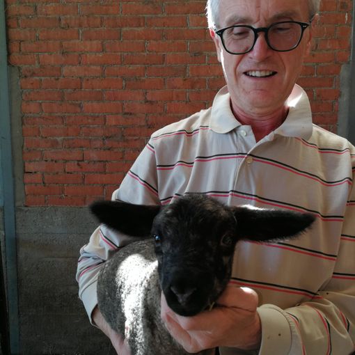 Il veterinario Dario Ariello