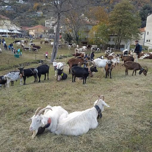 (Foto di repertorio)