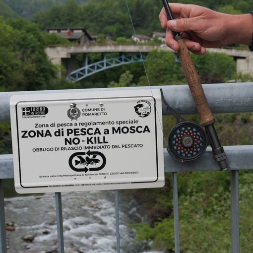 Pesca No Kill nel torrente Germanasca