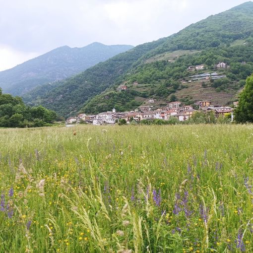 Pomaretto pianterà gli alberi di Mateo ed Hervè