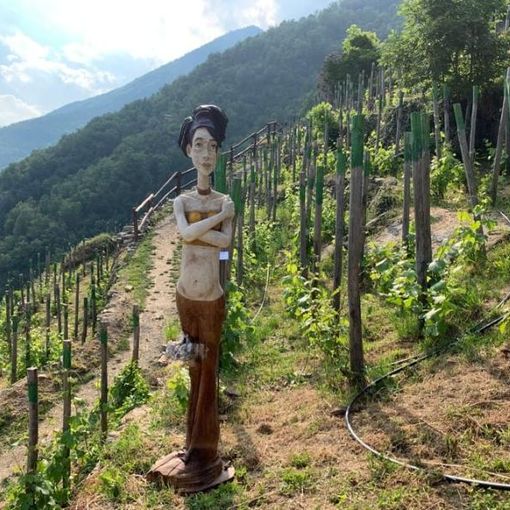 Pomaretto donne di Challier vitigni di ramìe