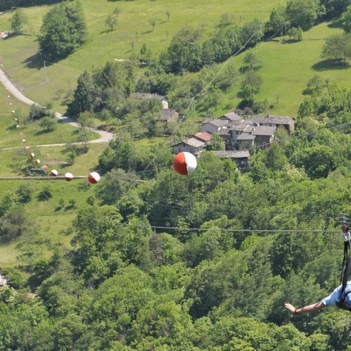 Il dahu ritorna a volare sul verde della Val Germanasca