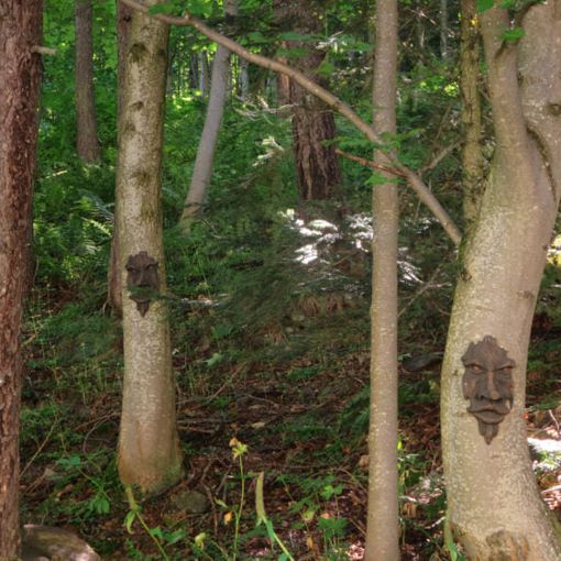 Volti sugli alberi del sentiero dei bambini