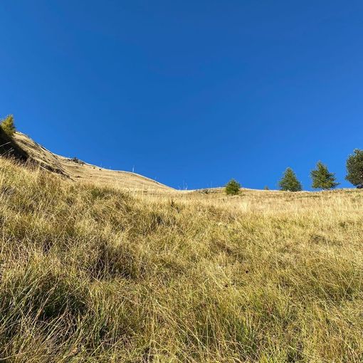 Il luogo della caduta