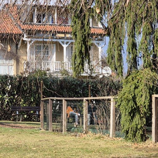 In fondo vicino alla siepe, le due nuove panchine vicine al laghetto del Parco di Villa Widemann
