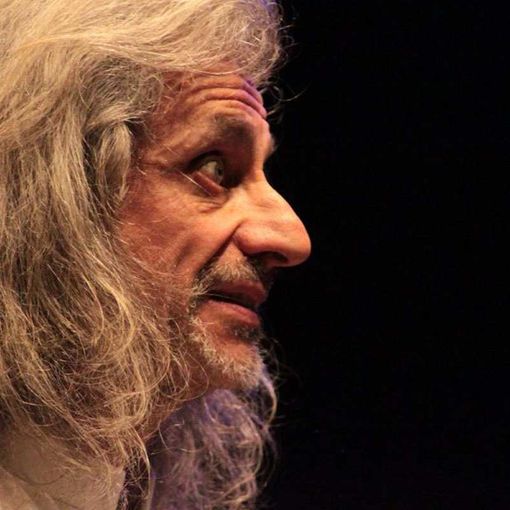 &quot;Trascendi e sali&quot;: le parole di Bergonzoni al Teatro Sociale di Pinerolo