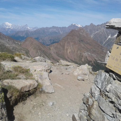 Un pezzo del percorso.