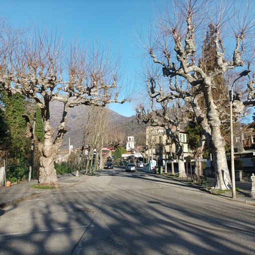 Torre Pellice raddoppia le risorse per la potatura delle piante