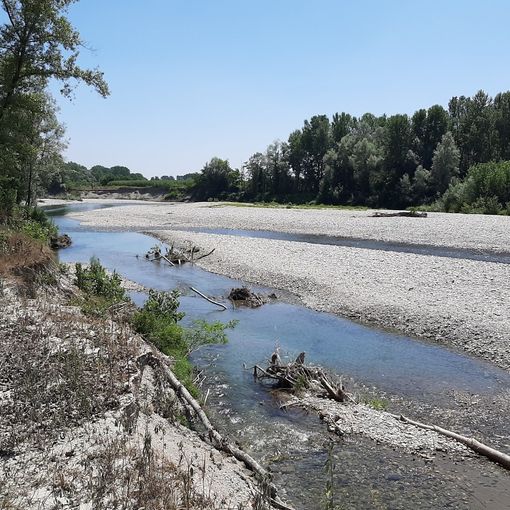 Volontari al lavoro sabato per raccogliere rifiuti al Pellice [VIDEO e FOTO]