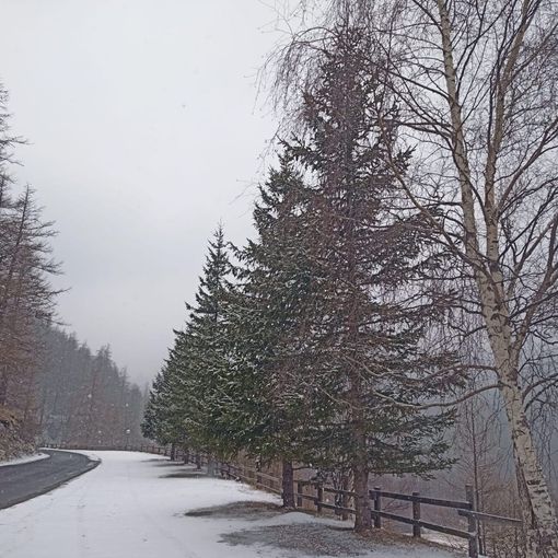 La neve torna a scendere nelle vallate del Pinerolese [VIDEO]