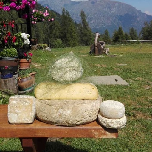 Sei Unioni montane si uniscono nel nome del cibo