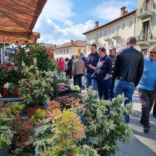 Un momento della scorsa edizione