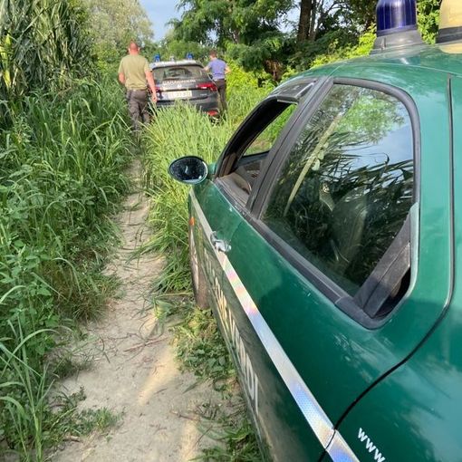 Ritrovamento a Vigone di Fiat Panda rubata
