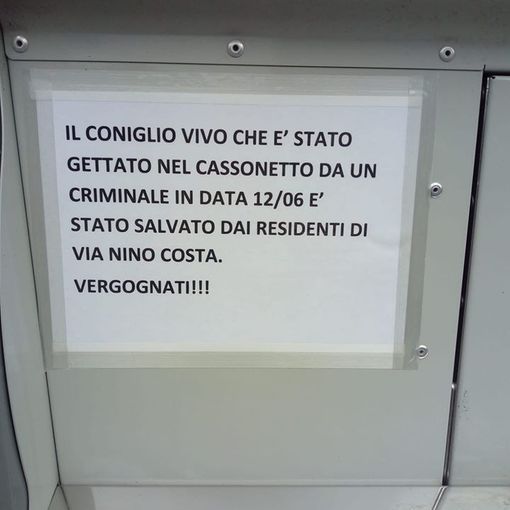 Non ce l’ha fatta il coniglio abbandonato in un cassonetto a Vigone