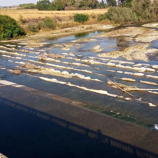 La ‘scala di risalita’ con dei detriti boschivi impigliati