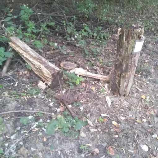 Villafranca Piemonte: vandali devastano il museo a cielo aperto lungo il Po