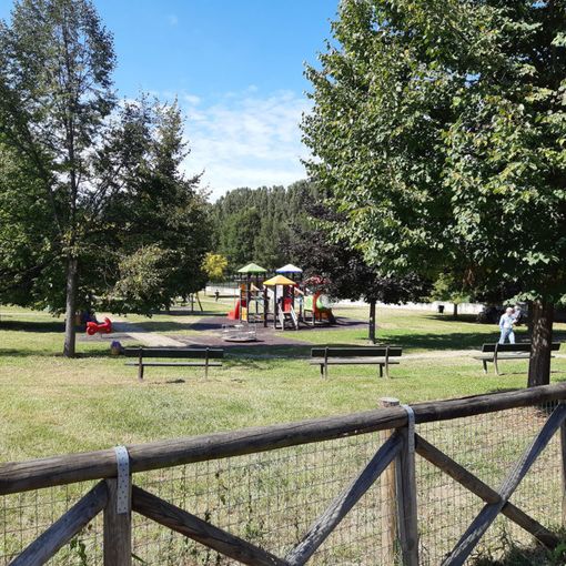 Premio nazionale &quot;La città per il Verde&quot;: Torino selezionata per la sezione &quot;Progetti sempre verdi&quot;