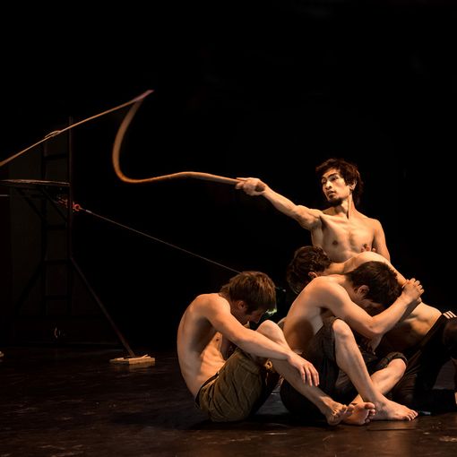 &quot;Sul filo del Circo&quot;: acrobati, clown e giocolieri da tutto il mondo a Grugliasco (FOTO)