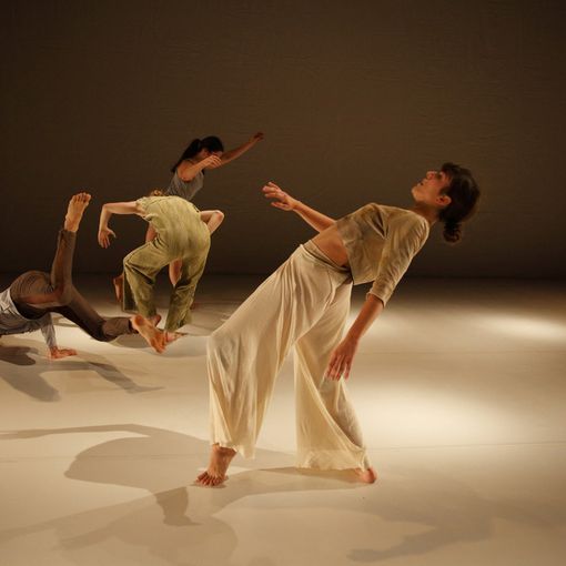 Torinodanza ritorna con lo stesso spirito: &quot;Internazionalizzazione che arricchisce tutti&quot;