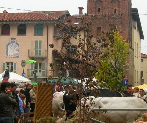La 31esima Sagra d’Autunno a Piasco entra nel vivo da giovedì 10 e regala emozioni fino al 15 ottobre