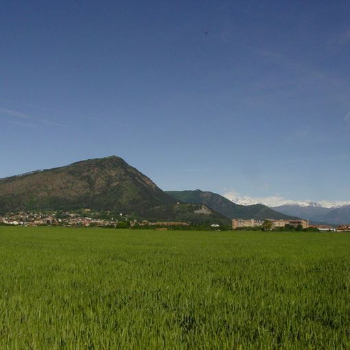 Un'estate nel parco naturale del monte San Giorgio