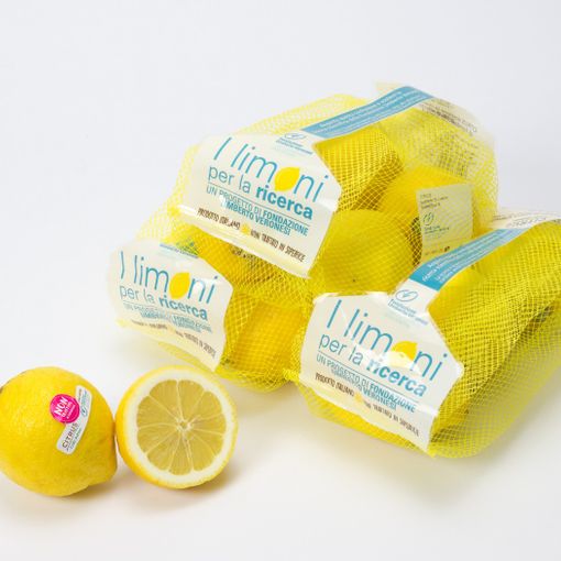Anche a Torino “I Limoni per la Ricerca”