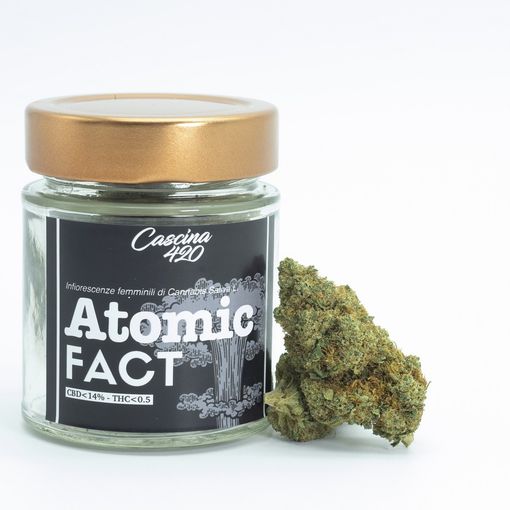Un'impresa giovane, fresca e dinamica, che guarda al futuro innovando il commercio di cannabis light