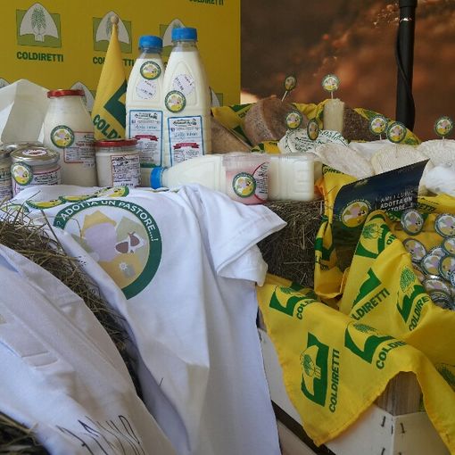 Contrastare l'abbandono della montagna: Coldiretti lancia la campagna &quot;Ami i lupi? Adotta un pastore&quot;
