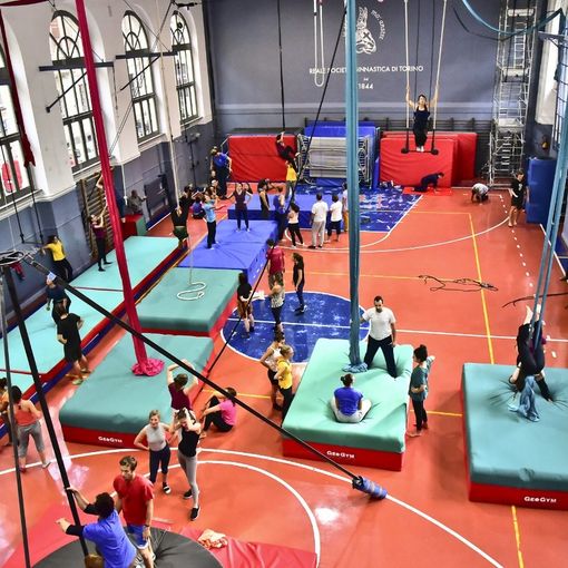 Al via le feste dell'Acrobatica &quot;Una domenica a testa in giù&quot;