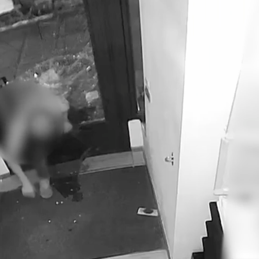 Quindici furti, dal centro alle periferie: preso il “trio” delle spaccate che assaltava i negozi di Torino [VIDEO]