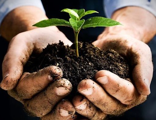 Confagricoltura Piemonte: &quot;Infortuni sul lavoro in calo. L'agricoltura in prima linea nella difesa dei suoi lavoratori”