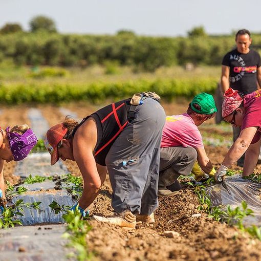 Commissione Legalità: al via il gruppo di lavoro sullo sfruttamento lavorativo