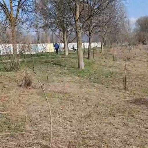 Taglio dell'erba al parco del Sangone Taglio dell'erba al parco del Sangone