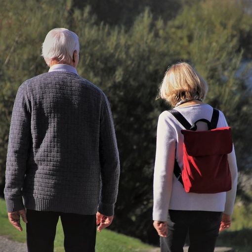 anziani a passeggio insieme
