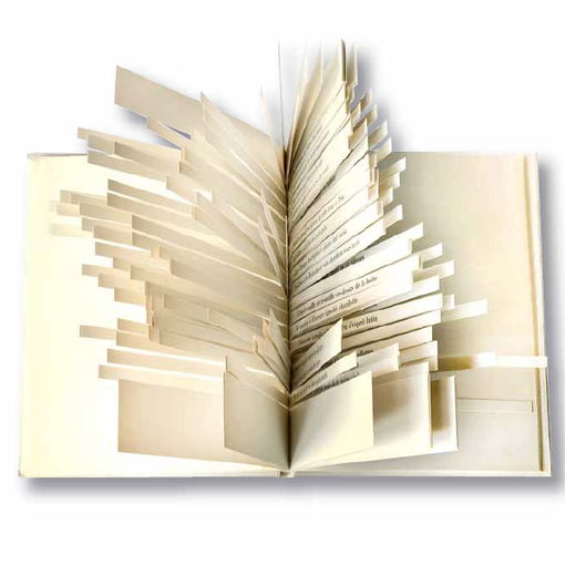 Libri e antichi giochi dai mille volti in mostra a Palazzo Barolo