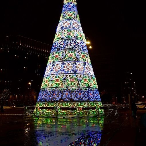 Torino Natale Magico, stasera l'accensione del grande albero alto 23 metri