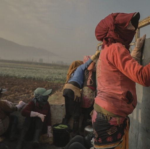 I vincitori del 5° Job Film Days: &quot;Aamelat&quot;, sulle donne siriane rifugiate in Libano, è il miglior film
