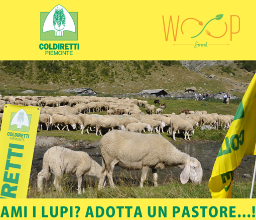 “Ami i lupi? Adotta un pastore…!”: lunedì Coldiretti lancia la campagna